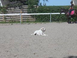 img_3174_web